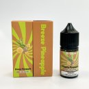 🍍 브리즈 파인애플 후기｜구월동 전자담배 봄 추천 액상!