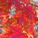 전신전화국 이미지