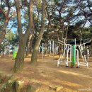 장무공원 화장실 네이버블로그