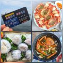 속초 맛집 홍게회세트 끝판왕 맛집 일출횟집 대포항 본점
