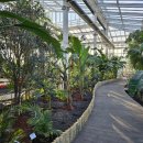 스마트농장 이미지