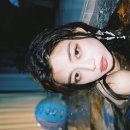 Nocturnal 이미지