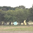 경주 신라문화제 아이랑 가볼만한 곳 놀거리 풍성한 축제