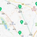 주엽새빛안경원 이미지