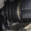 월드카닥터하우스 이미지