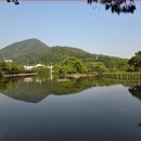 창녕 영산 만년교 이미지