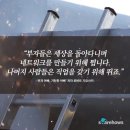 파이진 명품피부