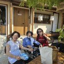 위로와 격려에 감사드립니다 이미지