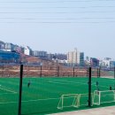 갈대2축구장 이미지