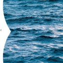 파도 파트너스 이미지