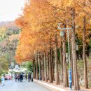 남파랑20차 ㅣ거제상죽전마을-둔덕기성-거제대교-통영삼봉산둘레-이순신공원20221127 이미지