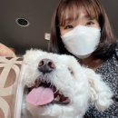 리쁘담 이미지