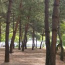 진부(오대산)관광농원 이미지