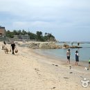 씨엔스타 이미지