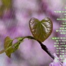 비야비야