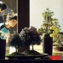 고즈넉이 이미지