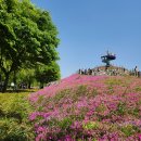 거창-남상-5 | 거창 창포원 입장료와 꽃잔디 후기