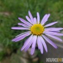 동강생태정보센터 이미지