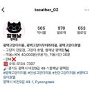 함께냥 평택점 | 안성 고양이 미용 잘하는 함께냥 평택점 :: 무마취 미용 후기, 예약 방법 및 가격