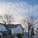 신두리5초바다별장 이미지