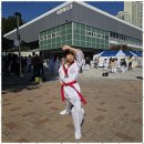 건강한태권도교육관 이미지