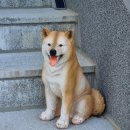 덕유공방펜션 | 덕유공방펜션 : 거창신상펜션 / 덕유신상펜션 / 덕유펜션추천 / 거창펜션추천 / 덕유산펜션 / 무주산...