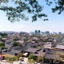 죽도어촌체험휴양마을 이미지