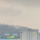 왈가왈부애견 이미지