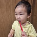 윤성세탁 이미지