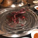 맛집 , 옥포 배가네 , 곱창이야기 , 산책 , 포메라니안 모모 , 언니다방 , 영화데이트 , 엑시트 후기)