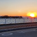 기룡정장어구이 이미지