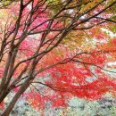 구수골농장 이미지