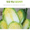 해남촌 이미지