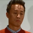 돌피노