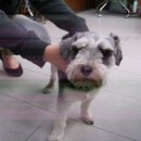 망원초교 이미지