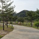 운산리 구라이골 캠핑장 티스토리