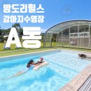 방도리힐스A