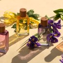 드바디샵 이미지