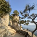 장수민박 | [1월 거제여행] 이수도,매미성, 미피카페,동백터널공곶이, 장수굴국밥