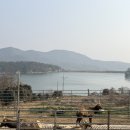 대산농장 | [26년 1월] 엘크농장 새해 첫 방문 후기