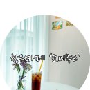 소미무드