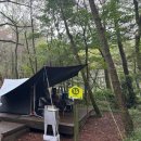 베스트캠핑장 | [제주붉은오름자연휴양림] 제주붉은오름캠핑장, 2025 우수 공공야영장🏕️ 이용후기, 내 맘대로 베스트자리😉