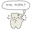 에이스승마랜드 이미지