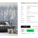 포레스트캄
