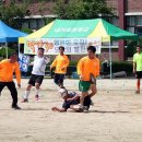 내기초등학교 이미지