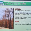 주산지 | 가을여행(주산지,주왕산)후기