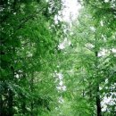 실버웃음코칭레크레이션 이미지