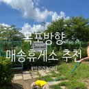 매송(목포) | 목포 방향 고속도로 휴게소 추천! 반려견 놀이터＋떡볶이 맛집, 매송휴게소 리얼 후기