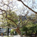 순천의료원 공원 이미지