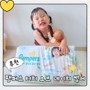 글로벌네이쳐 | 여름 기저귀는 팸퍼스 터치 오브 네이쳐 썸머 팬티 5단계 후기